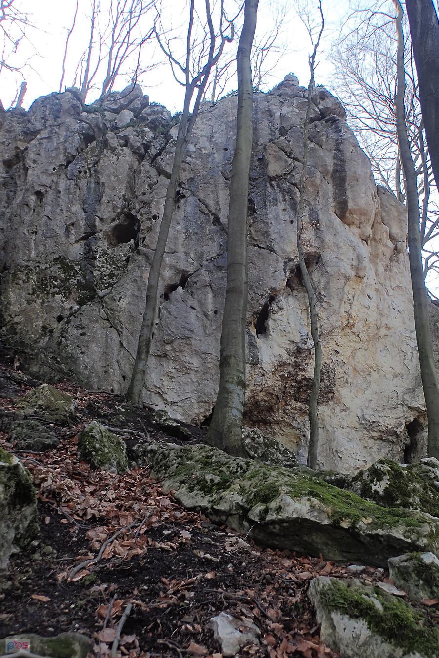 Nyża w Żółtym Okapie - Sokole Góry