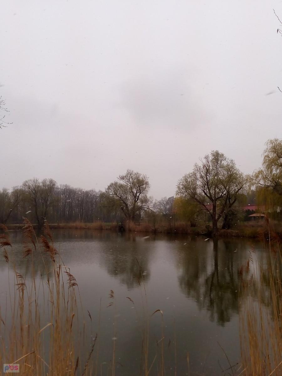 Staw w Zielonkach