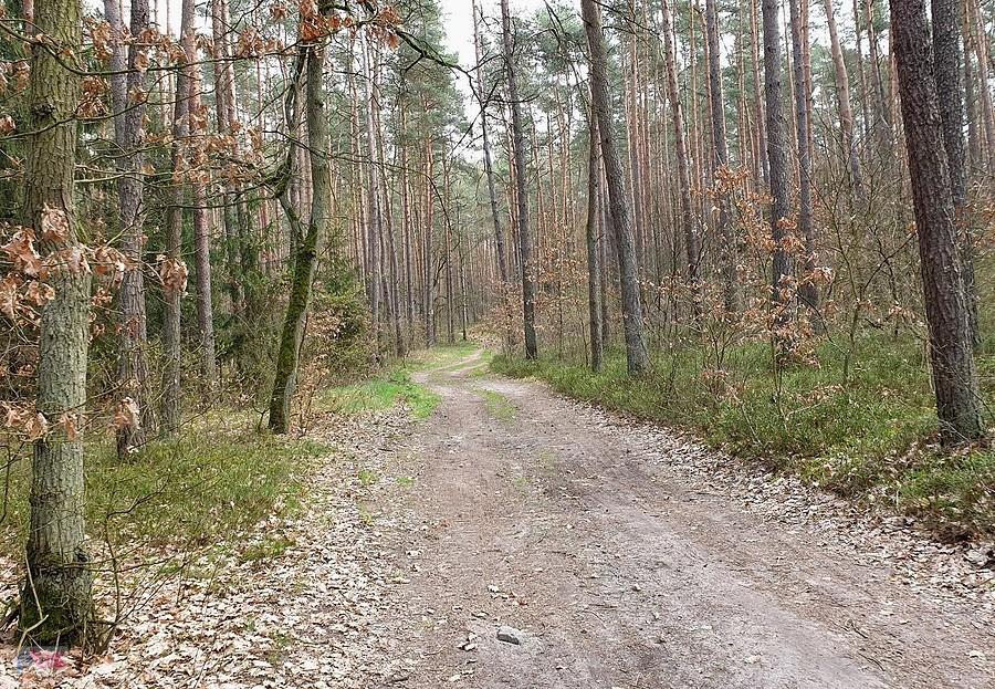 Dojazd pożarowy 13 okolice Bolechowa