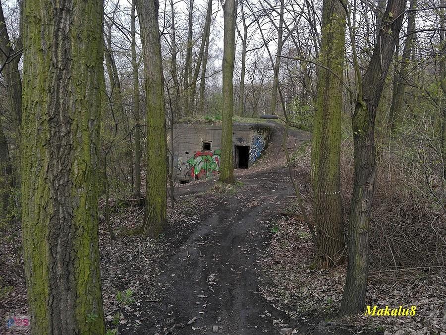 Obszar Warowny Śląsk_Zgorzelec