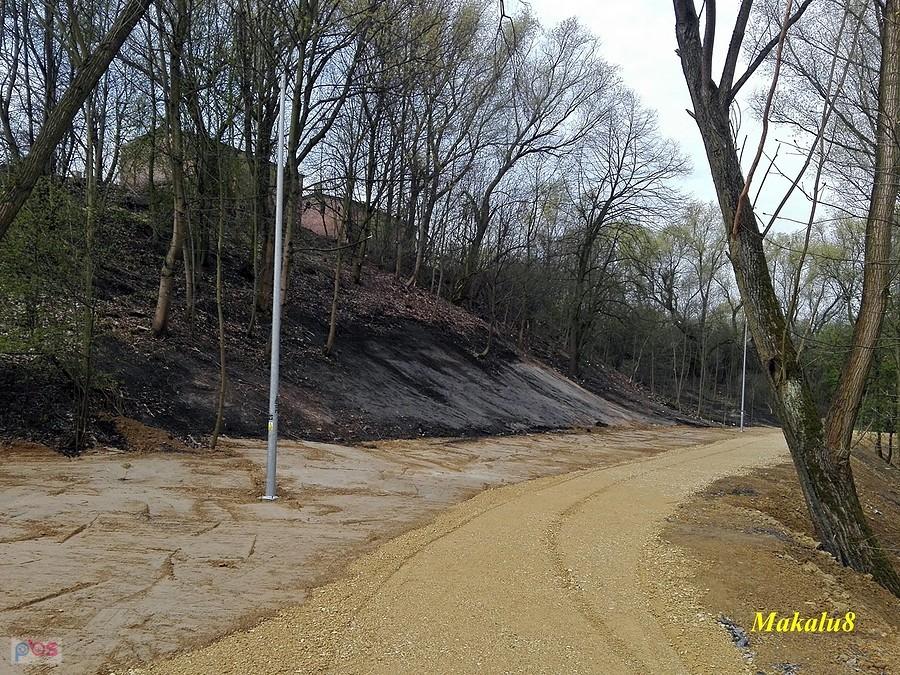 Rewitalizacja hałd nad Bytomką