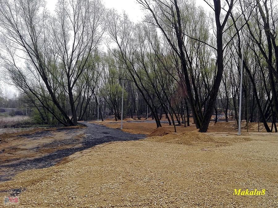 Rewitalizacja hałd nad Bytomką