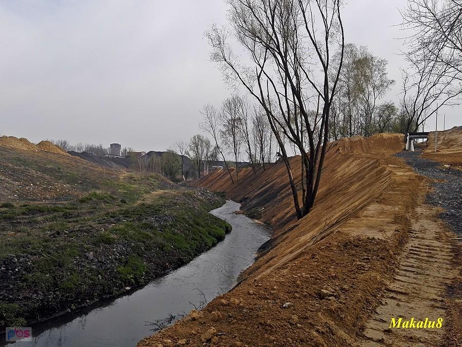 Rewitalizacja hałd nad Bytomką