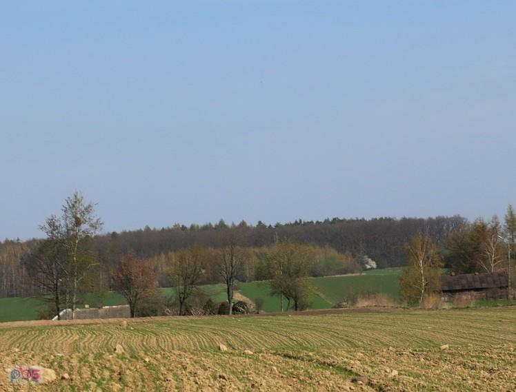 Wzniesienia łódzkie