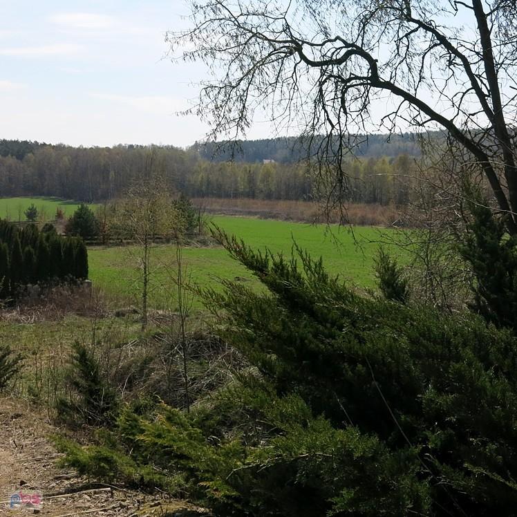 Widok z góry