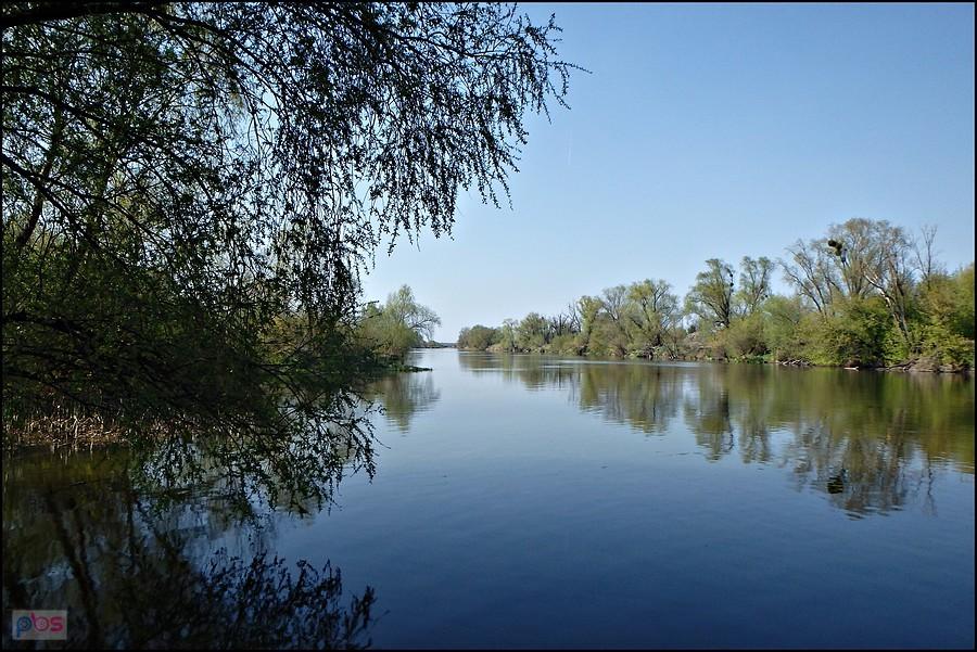 Odra tuż za Brzegiem