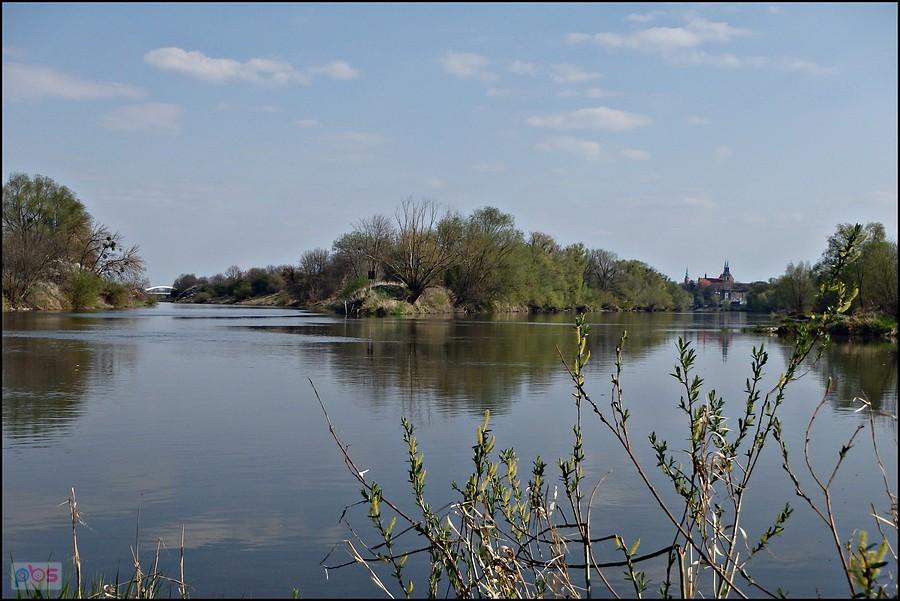 Połączenie Odry za Brzegiem