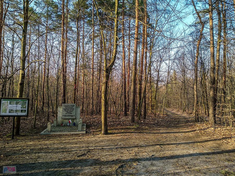 Jeden z pomników obrońców Wieży Spadochronowej