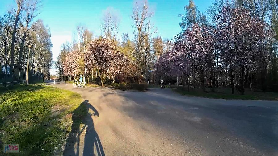 Ukwiecony park na Zadolu