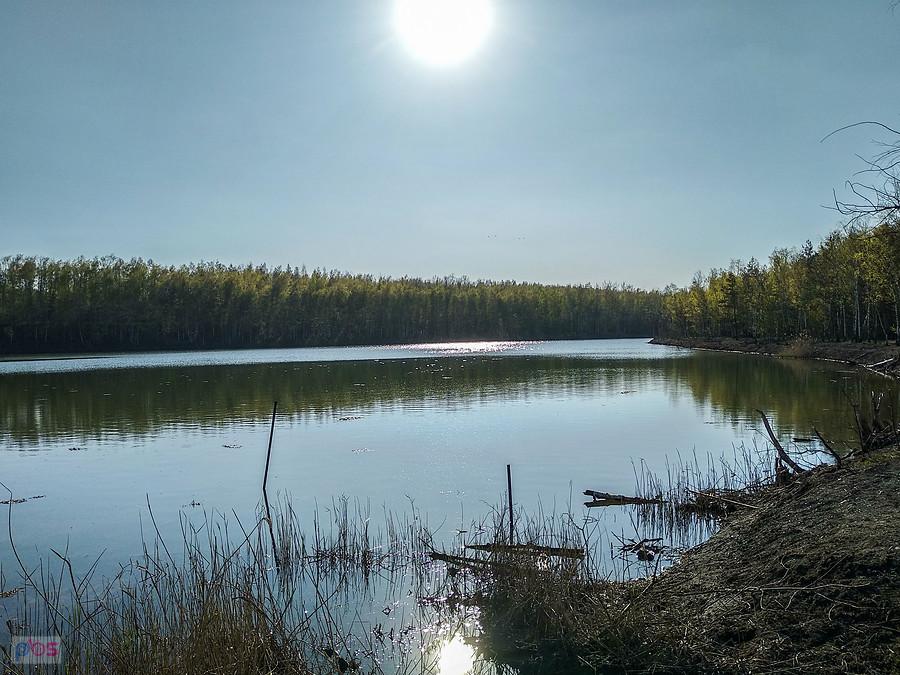 Staw przy hałdzie an Sośnicy