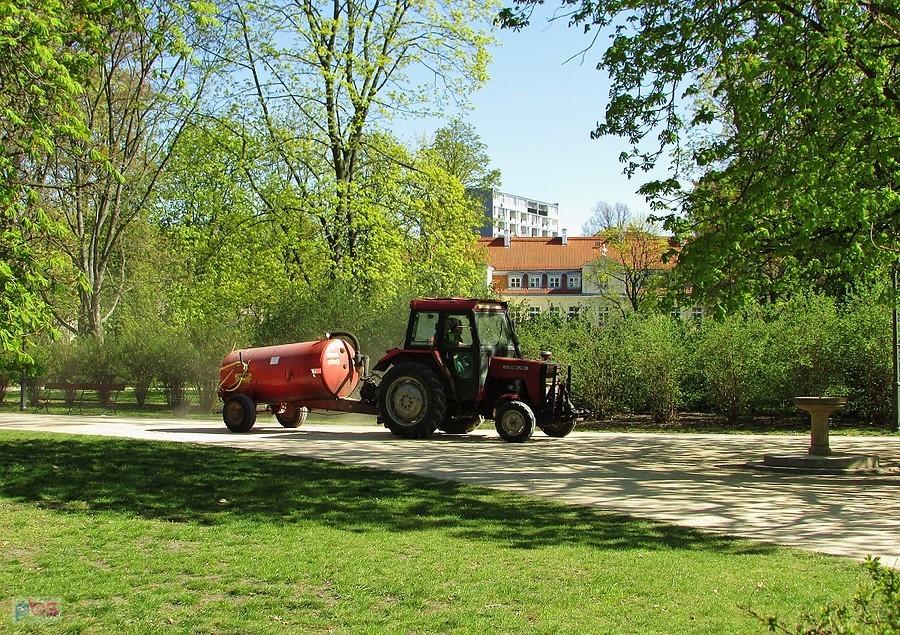Kwiatki trzeba podlać