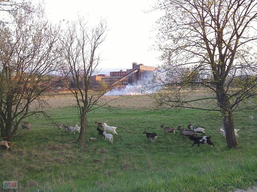 Jelenia Góra, wjeżdżamy do Śródmieścia :)