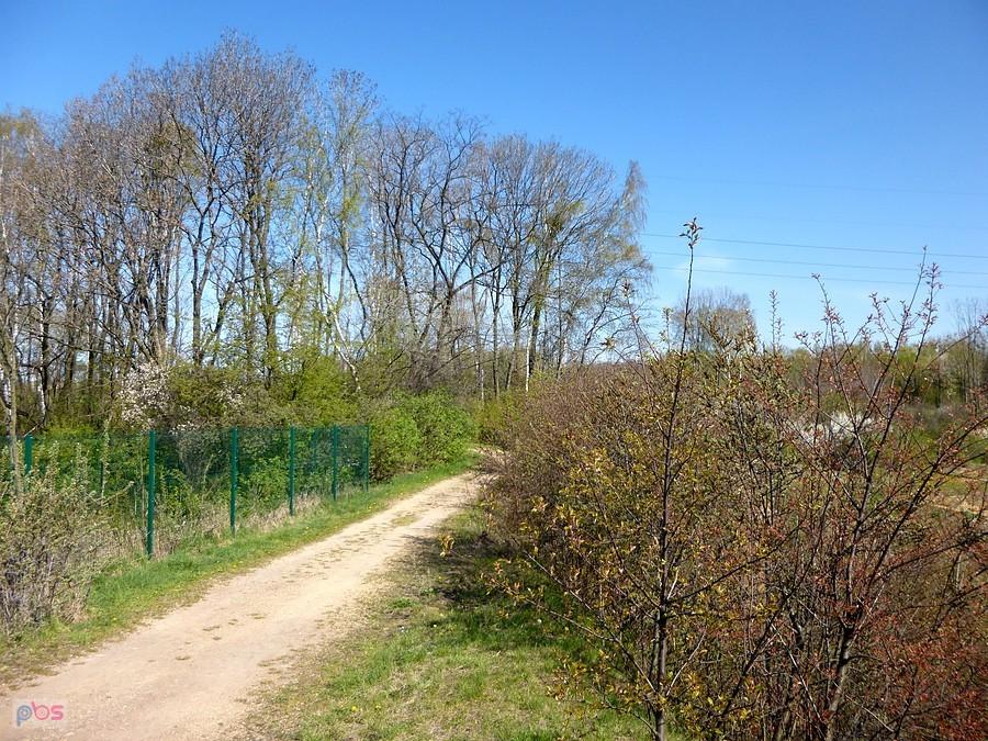 W ogrodzie botanicznym