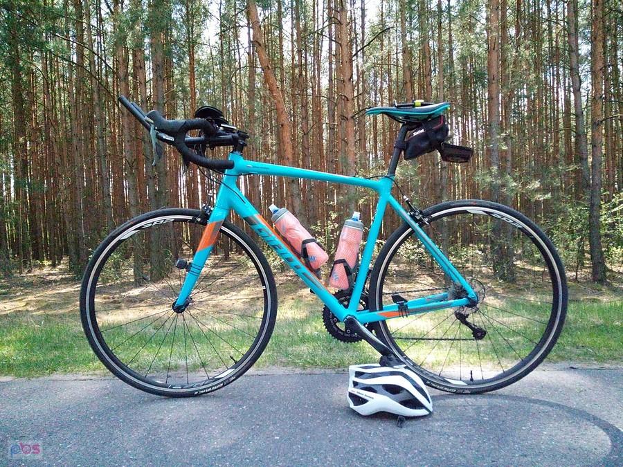 Giant Contend