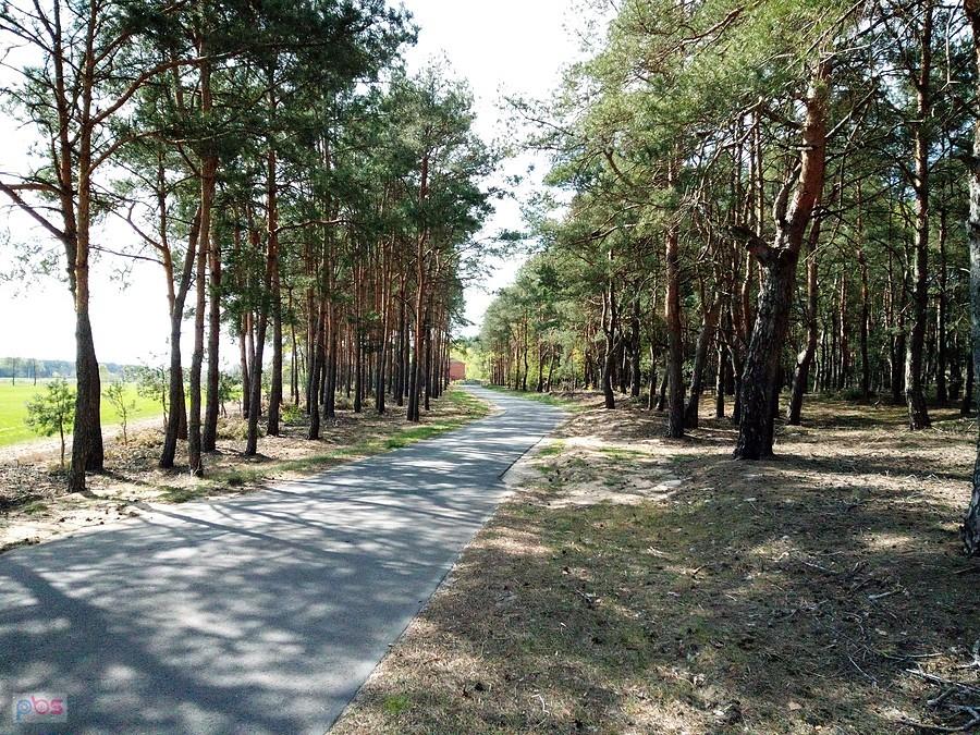 Piękna droga