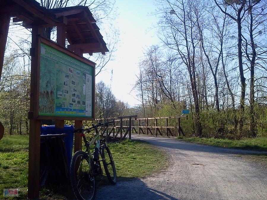 Ścieżka rowerowa nad Ostrawicą