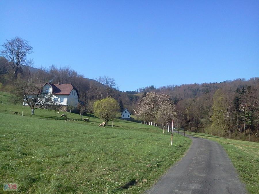 Dolina potoku "Srebrnik"