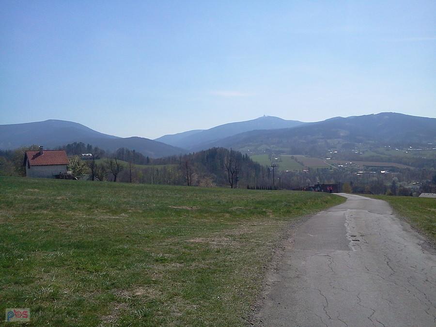 Łysa z plecami