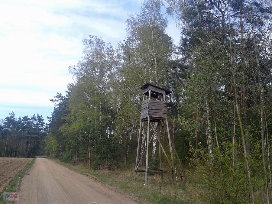 Ambona przy uroczysku