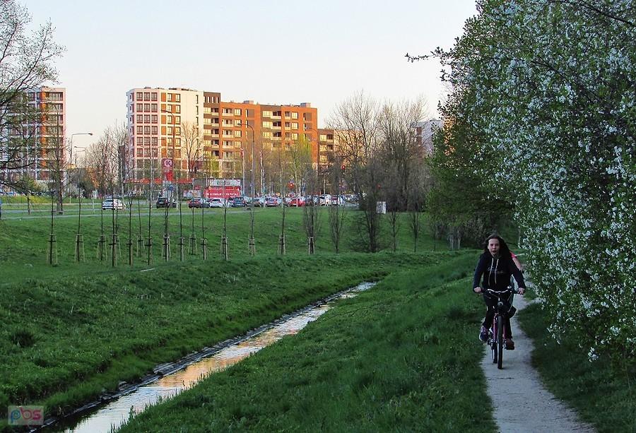 Ścieżka nad Potokiem Służewieckim