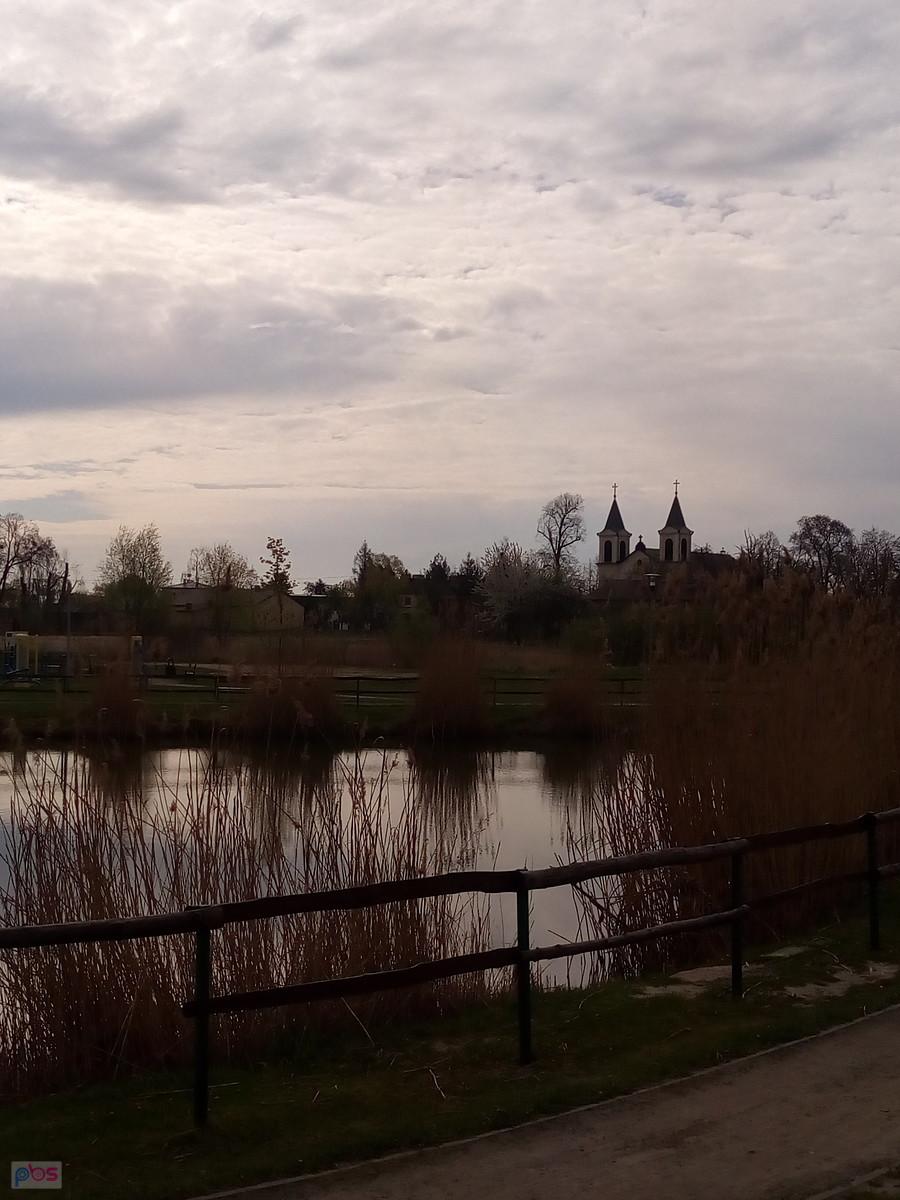 Staw w Borzęcinie