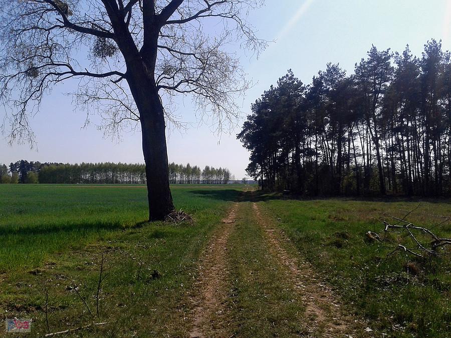 Polną drogą