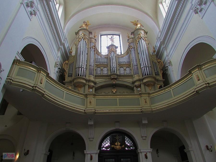 Organy Biernackiego w kościele św. Franciszka