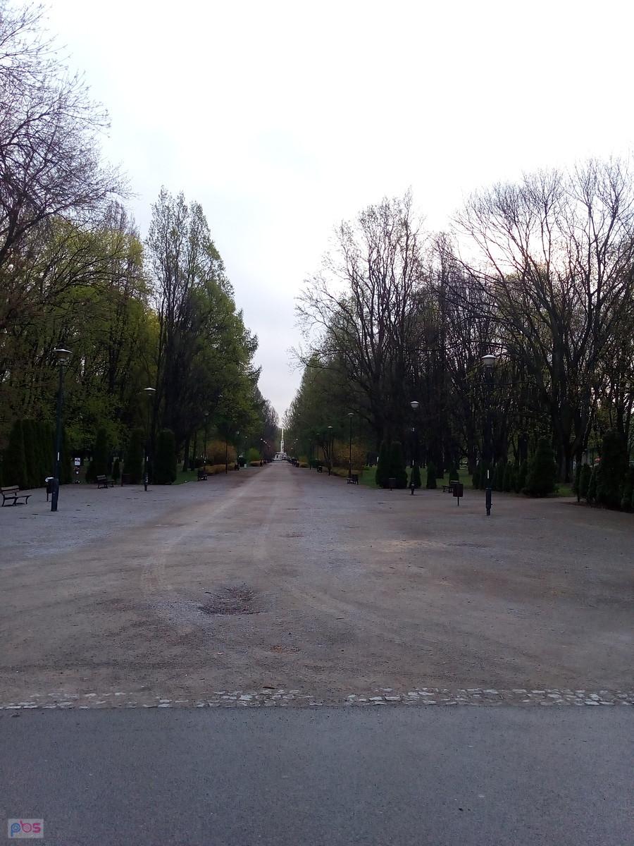 W parku na Forcie Wola