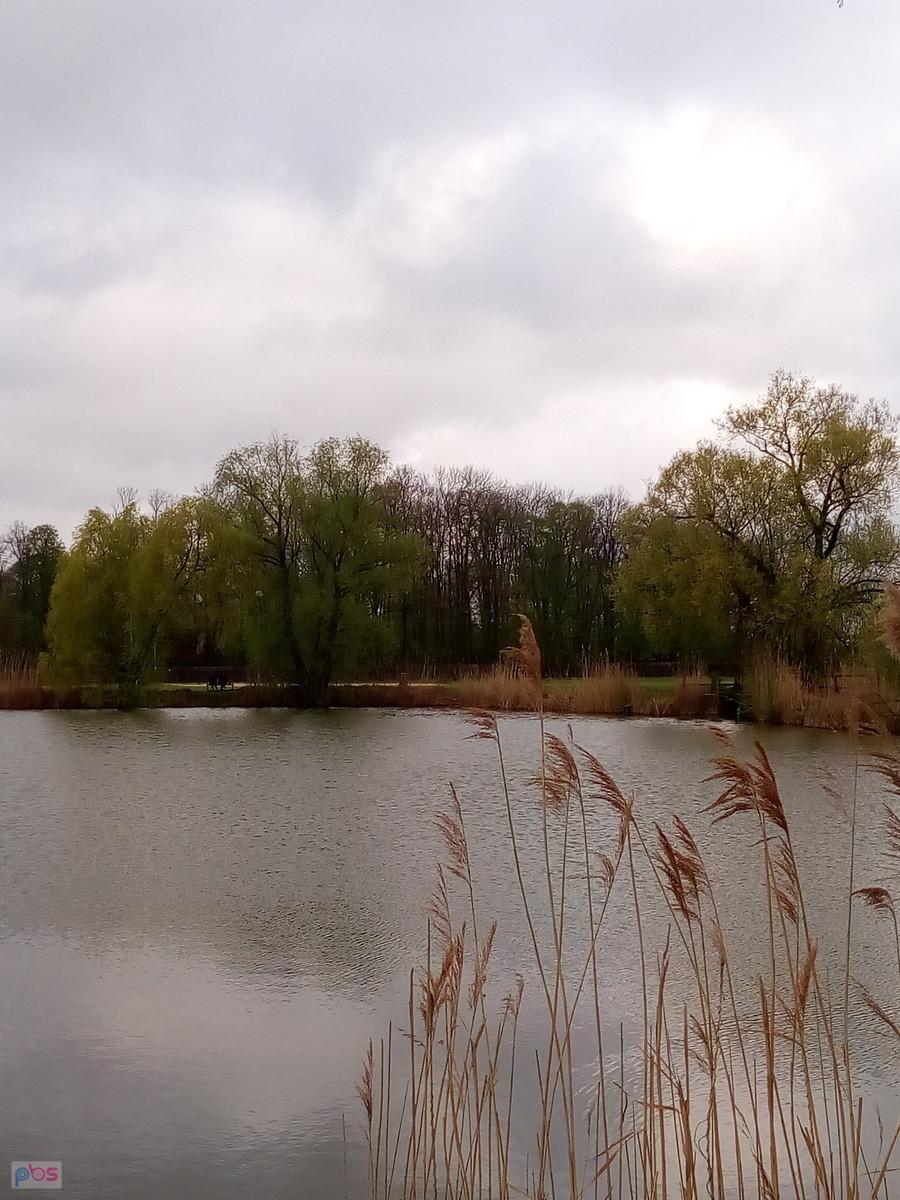 Staw w Zielonkach