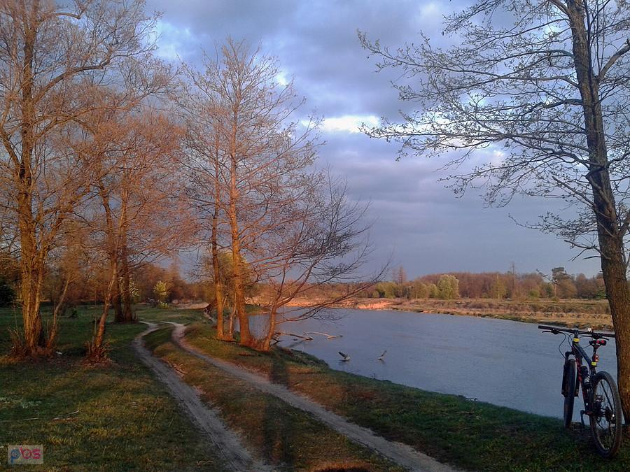 jeszcze jedno z nad Warty. Łęg Piekarski
