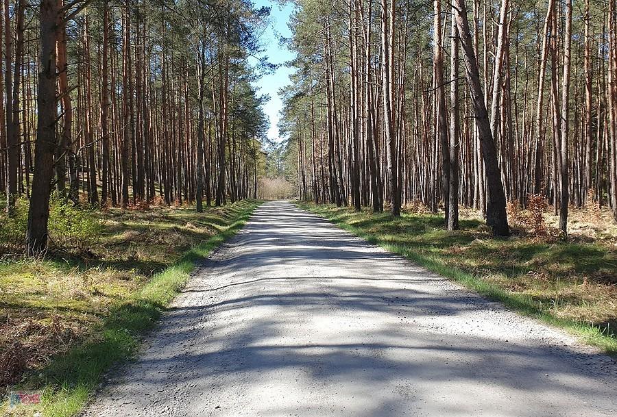 Dojazd Pożarowy 32