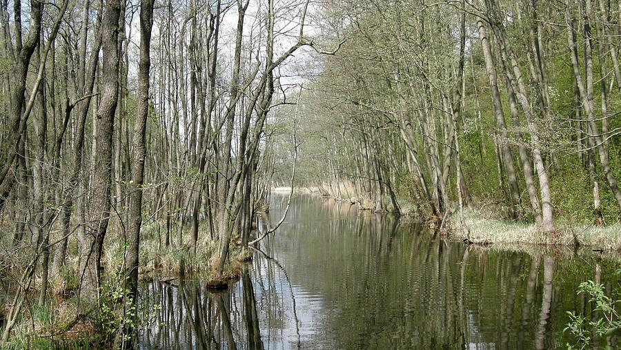 Wiosenny klimacik w rejonie Streszyńskiego