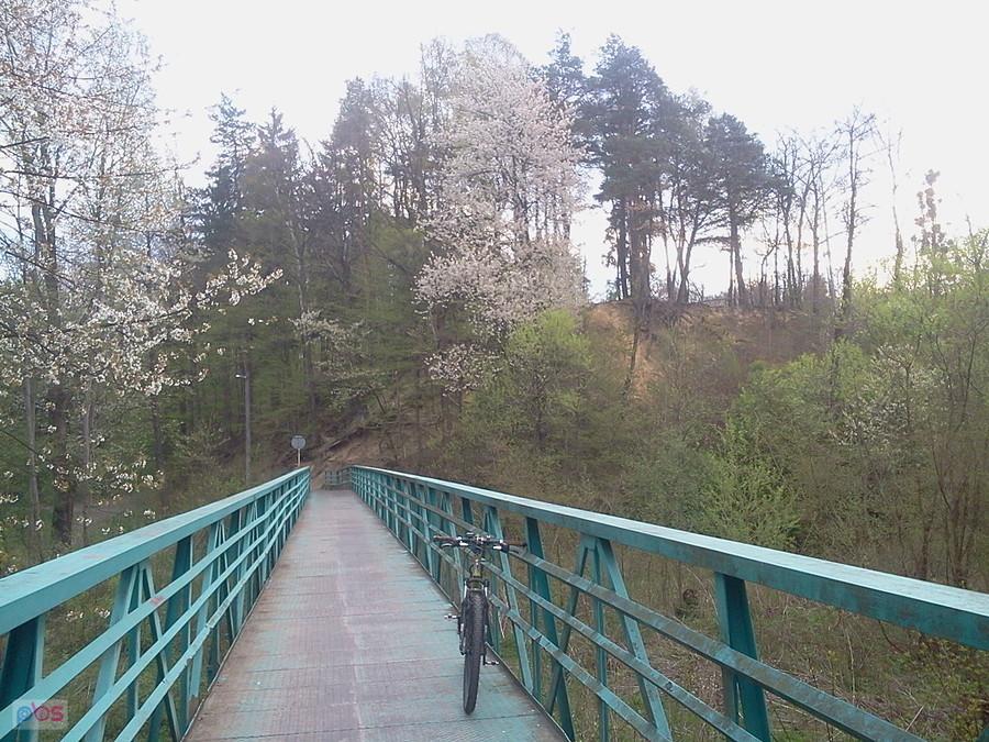 Kładka przez Ostrawicę pod gródkiem w Lubnie