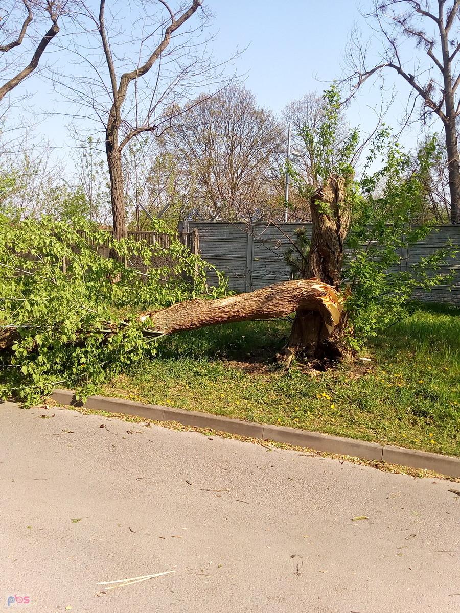 Trochę dziś wieje..