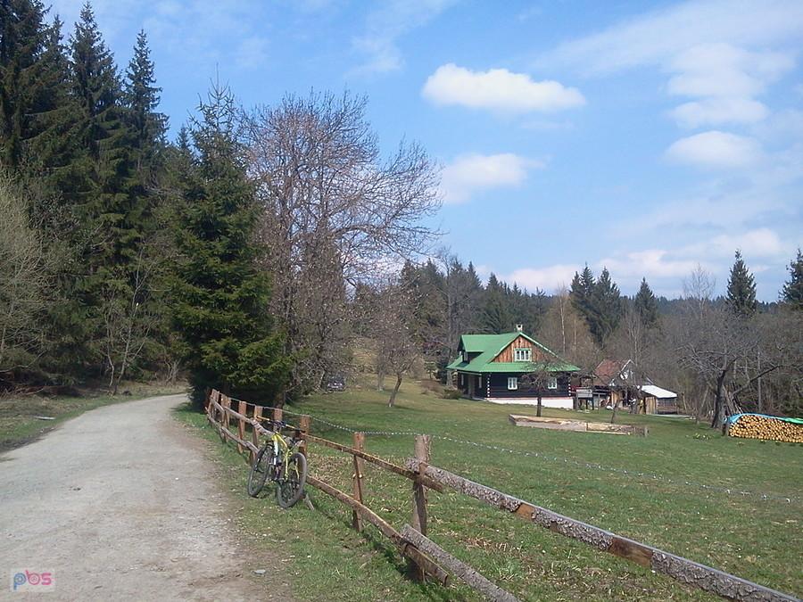 Ježanky