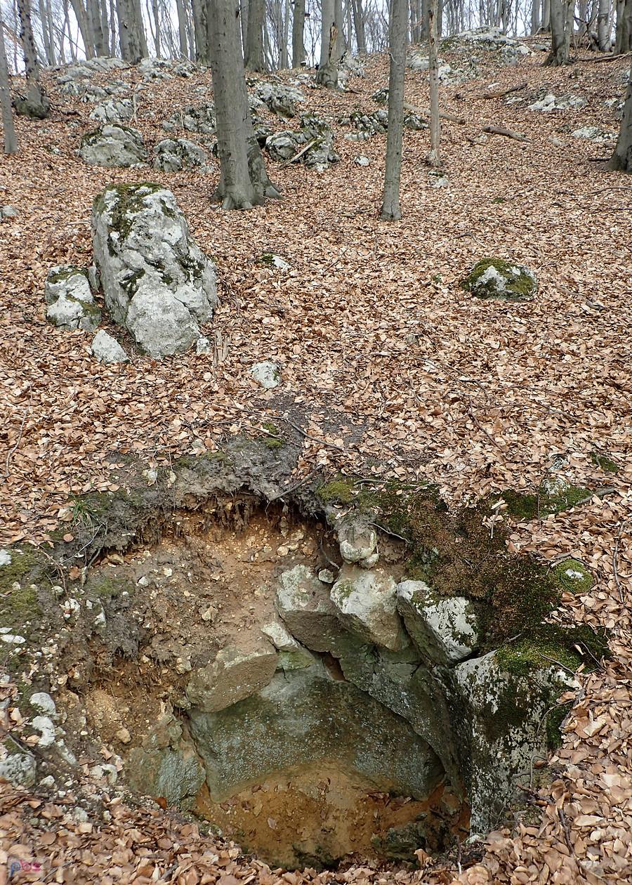 Studzienka w Pustelnicy - Sokole Góry