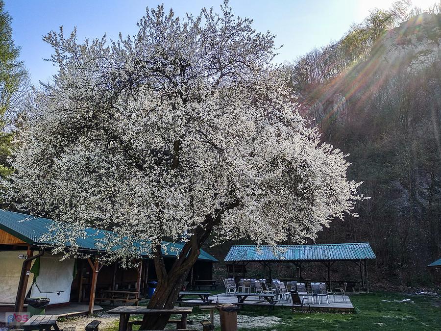 Szkoda, że nie można przekazać poprzez zdjęcie zapachu...