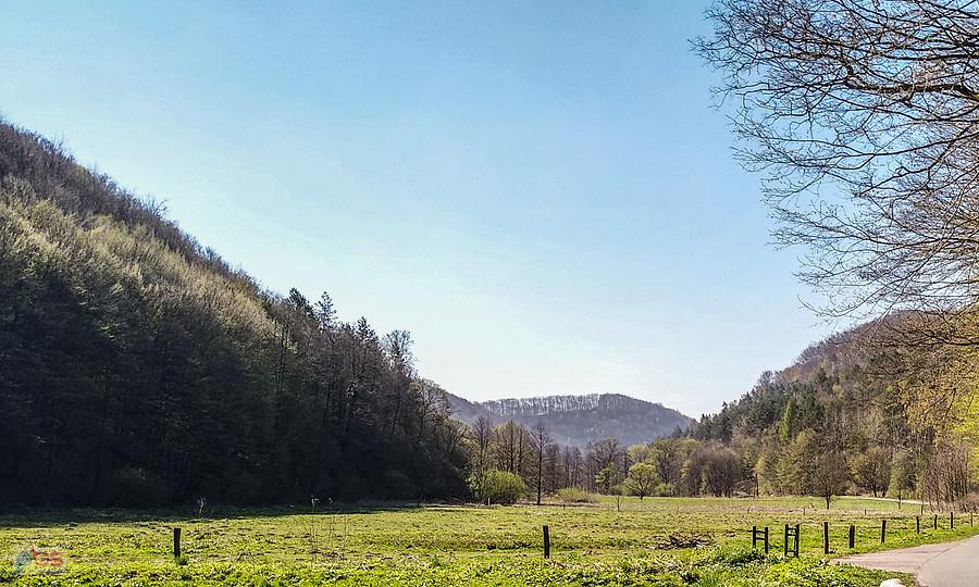 Niesamowity poranek w dolinie Będkowskiej
