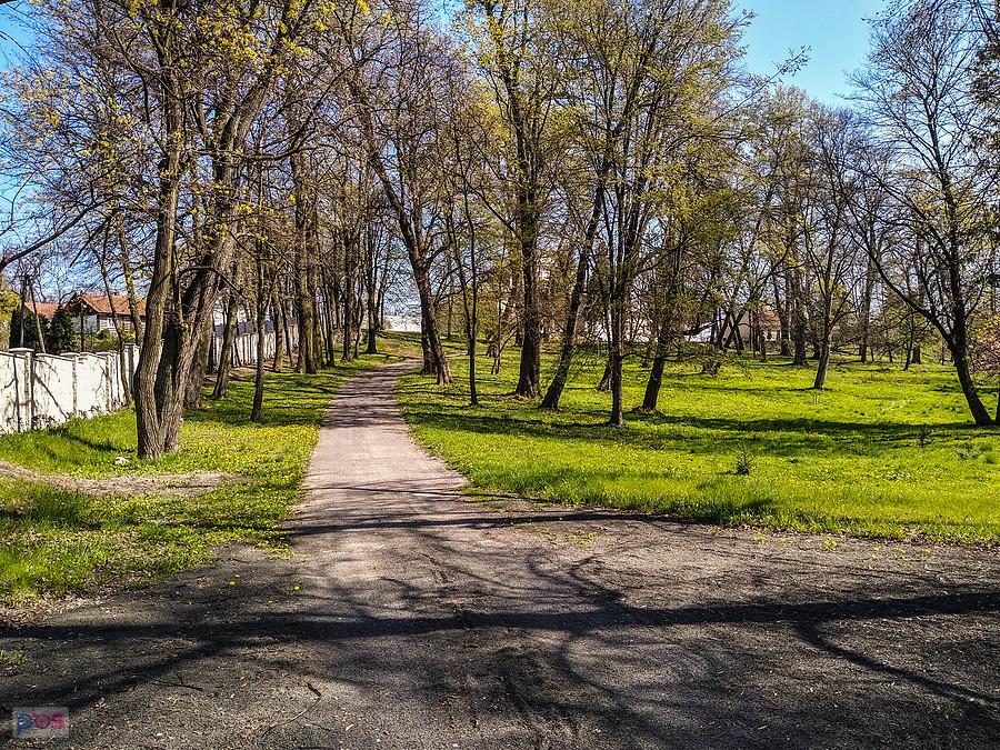 Niegoszewice, gdzieś tam z tyłu jest dworek