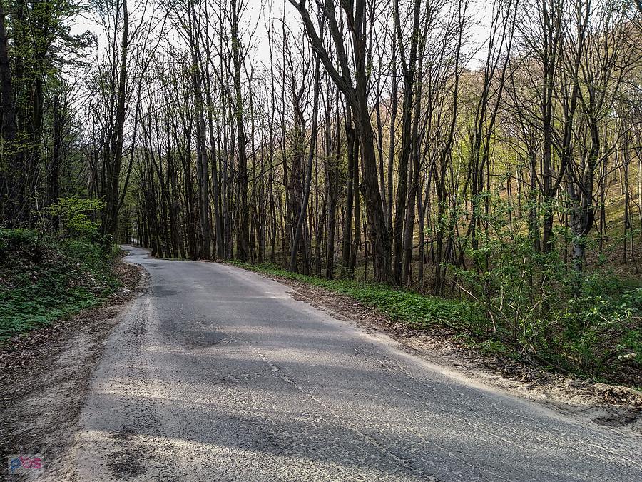 Drogi są niesamowite, nawet takie leśne odcinki