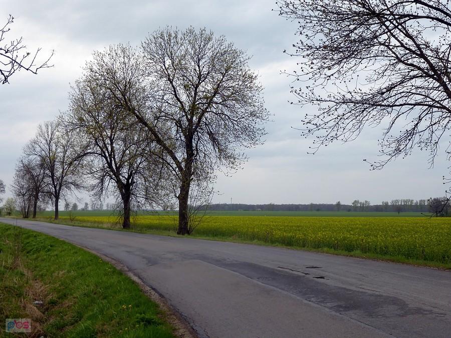 Zielono-żółto