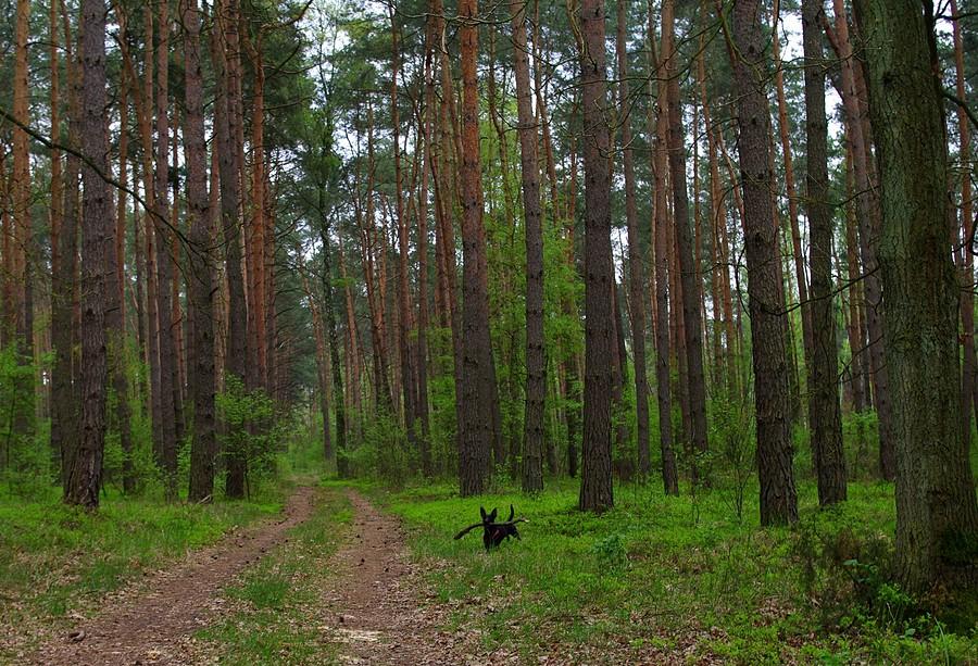 W końcu u siebie - Rezerwat Krajkowo
