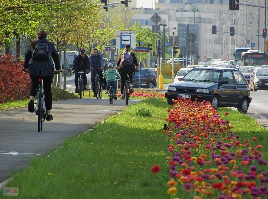 Tulipanowy DDR na Ursynowie