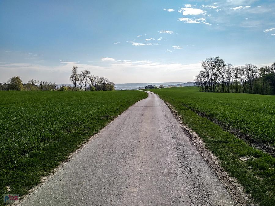 Ale widoki