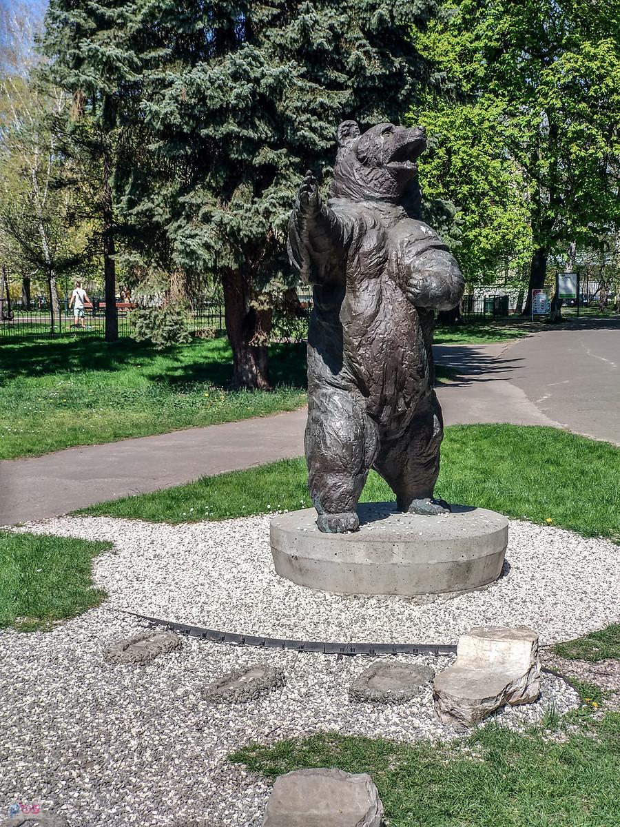 Niedźwiedź Wojtek w parku Jordana