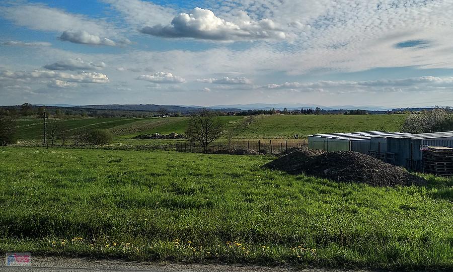 W oddali widać Beskidy
