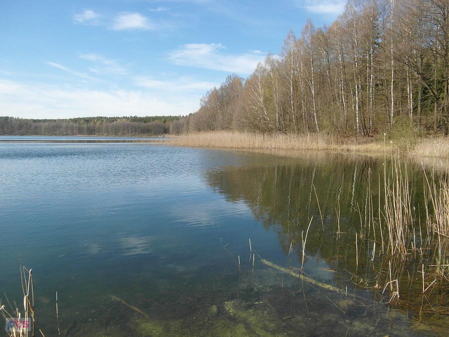 Rezerwat Przyrody Jezioro Orłowo Małe