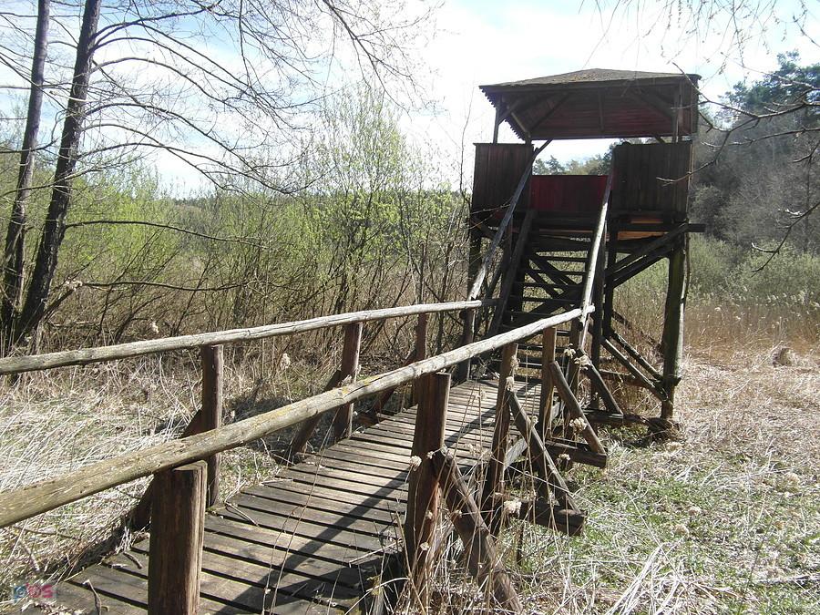 Rezerwat Przyrody Jezioro Orłowo Małe