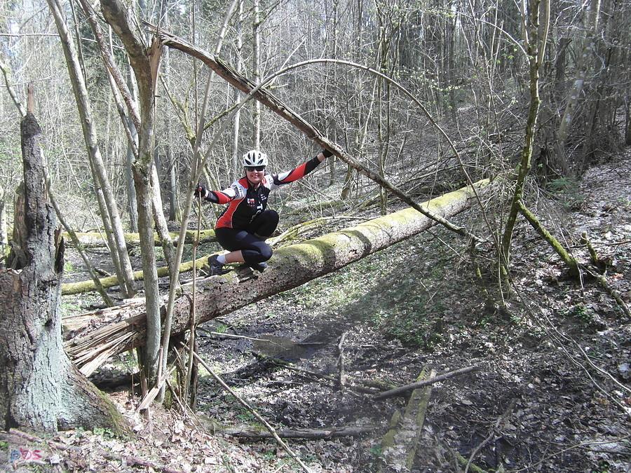 Rowerzysta na powalonej kłodzie w lesie