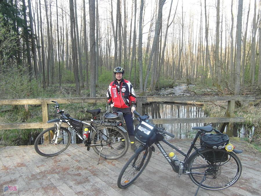Rowerzysta z dwoma rowerami na moście w lesie